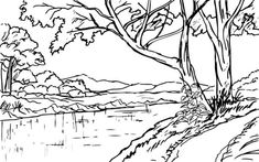 a black and white drawing of trees by the water