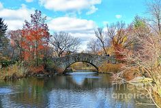 an old stone bridge over a river surrounded by trees with fall foliage in the background