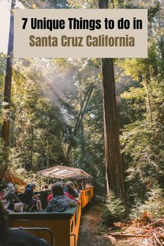 people riding on a train in the middle of a forest with text overlay that reads 7 unique things to do in santa cruz california