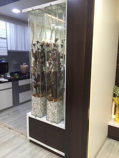 a display case filled with lots of plants and rocks in a living room next to a kitchen