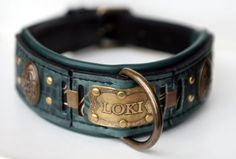 a green leather collar with gold buckles and the word oki engraved on it