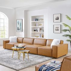 a living room filled with furniture and a large rug on the floor in front of a window