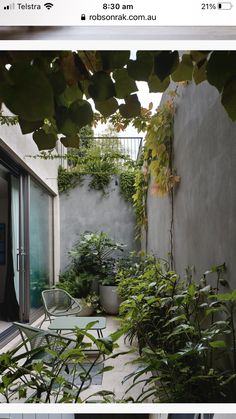 an outdoor patio with potted plants and chairs