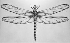 a black and white drawing of a dragonfly