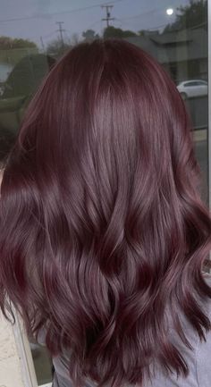 Dark Red With Purple Highlights, Plum Red Highlights On Dark Hair, Dark Reddish Purple Hair, Purple Reddish Hair, Dark Purple Brown Hair, Dark Brown And Purple Hair, Brown Hair With Purple Undertones, Wine Brown Hair, Red Brown Hair Dye