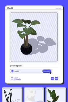 a computer screen with an image of a potted plant