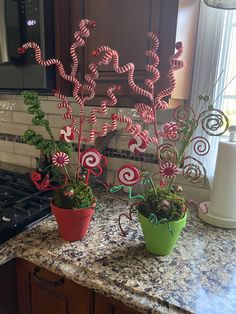 two potted plants with candy canes in them sitting on a kitchen counter top