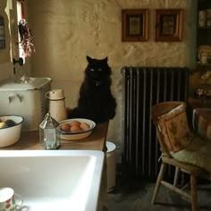 a black cat sitting on top of a kitchen counter next to a bowl of eggs