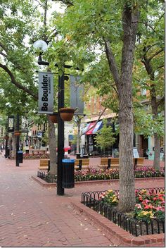 the street is lined with trees and flowerbeds on either side of the sidewalk