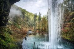 a large waterfall in the middle of a forest