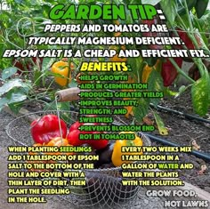 an advertisement for gardening in the garden with tomatoes, peppers, and other vegetables on it