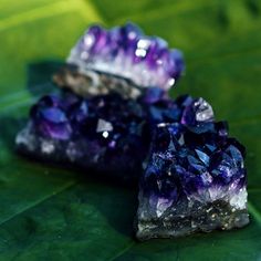 two pieces of ametholite sitting on top of a green leafy surface