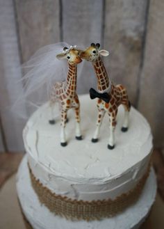 two giraffes are standing on top of a white cake with brown trim