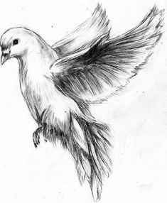 a black and white drawing of a bird flying