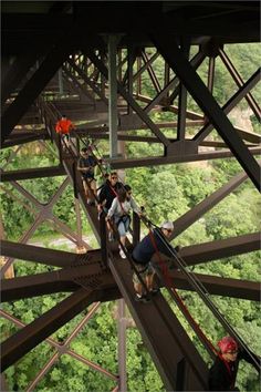 people walking across a tall metal structure in the middle of a forest with lots of trees