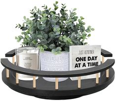 a potted plant sitting on top of a black shelf next to two books and candles