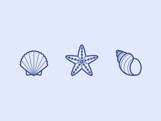 three seashells and a starfish on a light blue background, line art