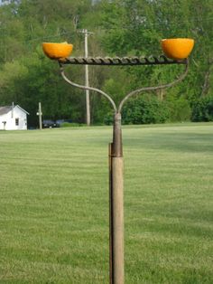 two oranges are sitting on top of a pole in the middle of a field