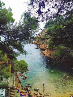 people are swimming and playing in the water