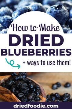 blueberries with the words how to make dried blueberries and ways to use them