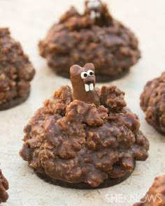 Groundhog cookies! So fun!!! Groundhog Cookies, Imbolc Recipes, Ground Hogs Day, Ground Hogs, Groundhogs Day, Ground Hog, Fun Foods, Groundhog Day