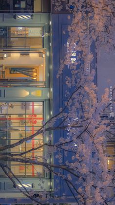 the building is lit up at night with cherry blossoms