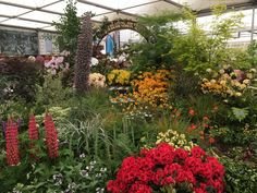 a garden filled with lots of different types of flowers and plants in a tented area