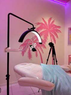 a pink palm tree is on the wall behind a camera set up for a photo