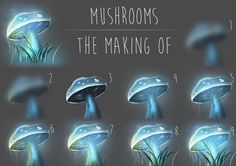 the stages of mushrooms growing on grass