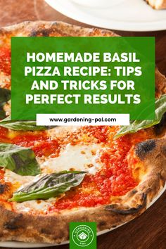 homemade basil pizza recipe tips and tricks for perfect results