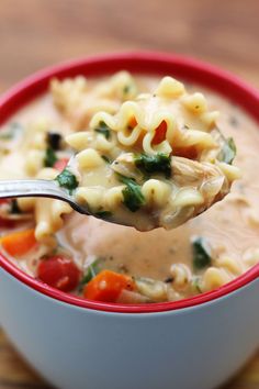 a spoon full of soup with noodles and vegetables