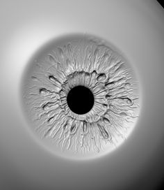 an eyeball is shown in black and white