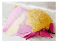 a yellow and pink stuffed animal laying on top of a bed