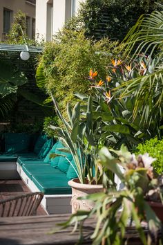 an outdoor seating area with potted plants and greenery