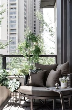 a balcony with some plants on it and a chair in the foreground, next to a coffee table