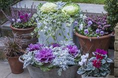 several potted plants sitting on the ground in front of some bushes and flowers outside