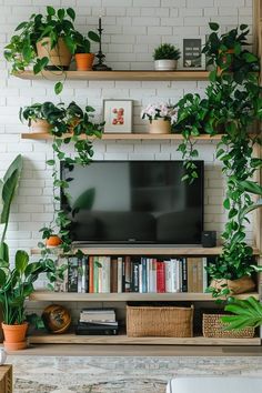 a living room with plants on the shelves and a television in the corner, along with bookshelves