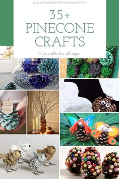 pinecone crafts for all ages