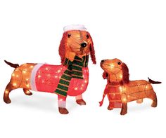 two dogs are dressed in christmas clothes and standing next to each other with lights on them