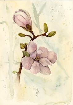 a painting of two pink flowers on a branch