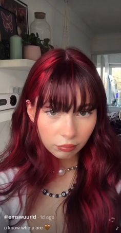 red hair inspo Horizontal Split Dye, Light Brown To Red Hair, Two Tone Red Hair Color Ideas, Red Hair Tiktok, Red Hair Pink Highlights, Red Hair With Fringe, Red Hair Bangs, Red Velvet Hair, Red Hair With Bangs