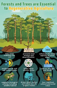 the forest and trees are essential to regenerative agriculture info poster with text on it