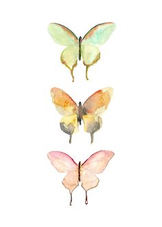 three butterflies with different colors and shapes on their wings, one is yellow, the other is pink