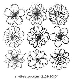 six different flowers that are drawn in black and white, each with one single flower