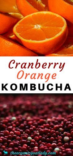 cranberry orange kombucha with text overlay