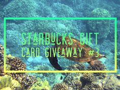 a turtle swimming in the ocean with text that reads starbucks's but card giveaway 3