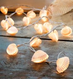 seashell lights on a wooden table in front of a window