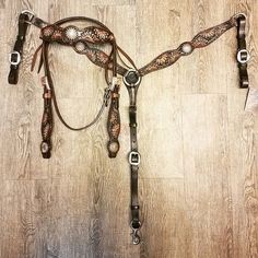 a horse bridle with two matching reins