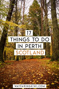 trees and leaves with the words 17 things to do in perth scotland