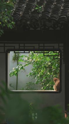 a cat that is sitting in the window sill looking out at trees and bushes